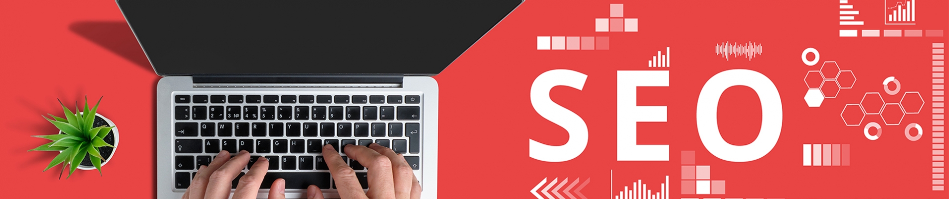 SEO (Search Engine Optimization)